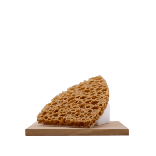 Mouse-dyna