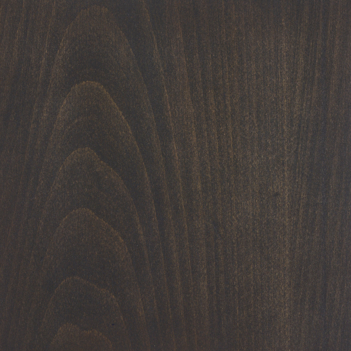 Beech