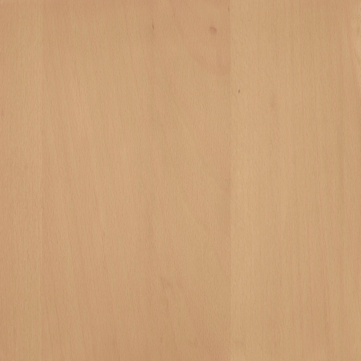 Beech