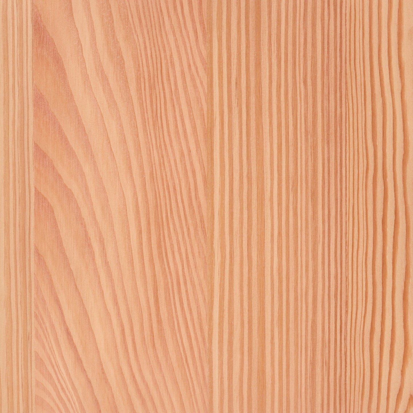 Larch