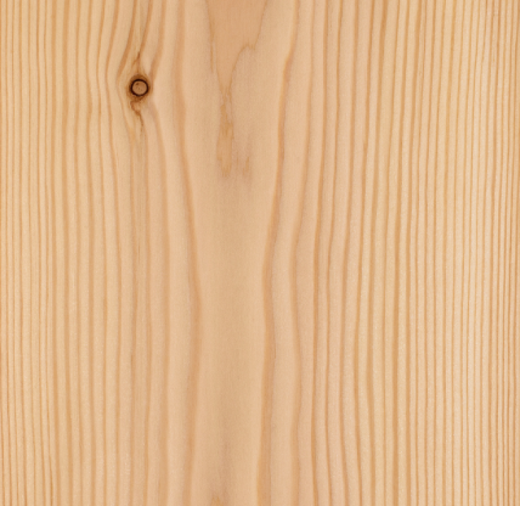 Behandling och skydd av lärkträ Behandling och skydd av lärkträ